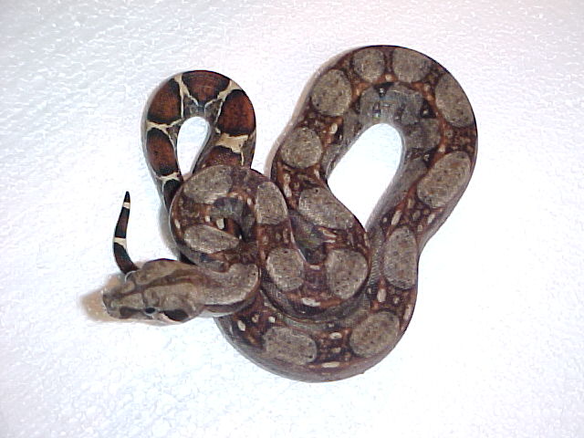 type II het