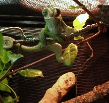 Bender Chillin Out
