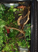 Fisher's cage