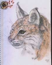 Iris Pet Portrait