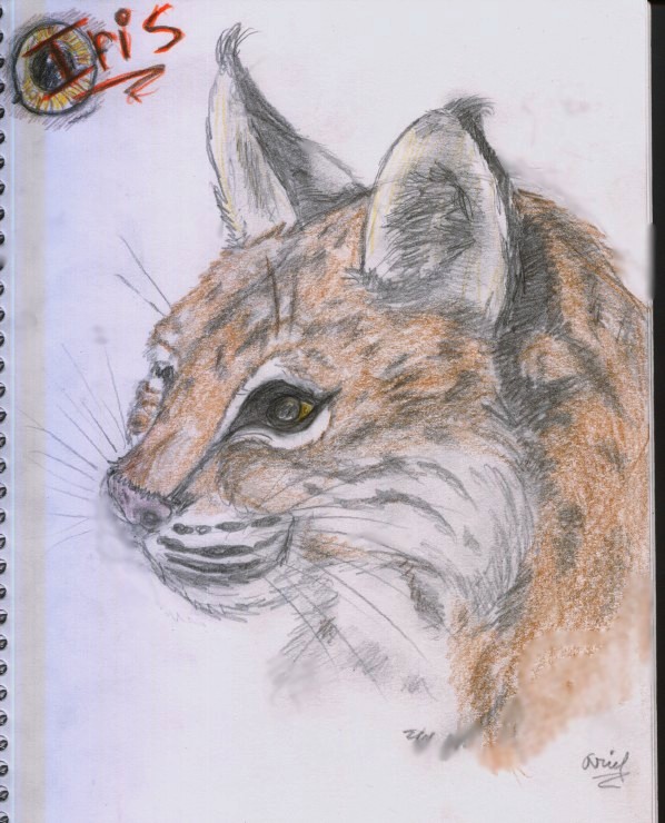 Iris Pet Portrait