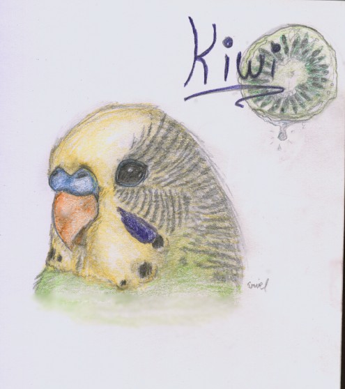 Kiwi Pet Portrait