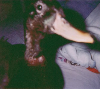 Pistashio says: Time for my Close Up!