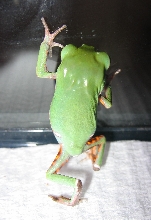 lets dance.....