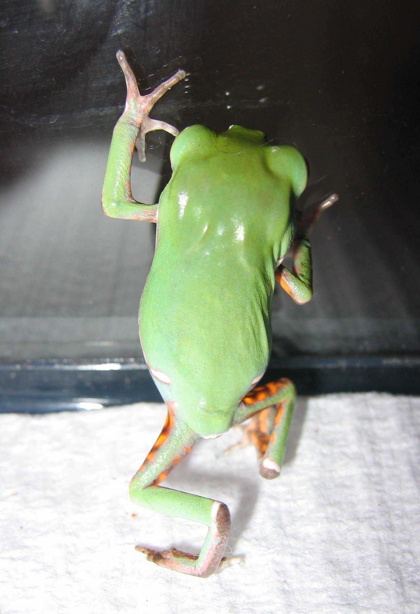 lets dance.....