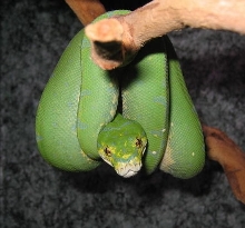 How is it hanging?