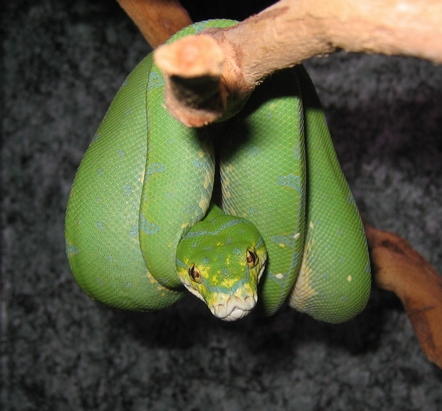 How is it hanging?