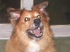 Mitzi
