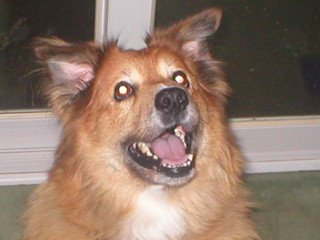 Mitzi