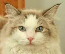 Look at that Pink Nose :)