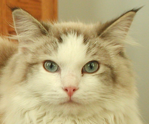 Look at that Pink Nose :)