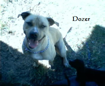 Dozer