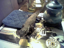 my new baby
