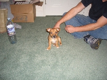 bailey1