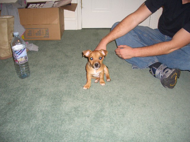 bailey1