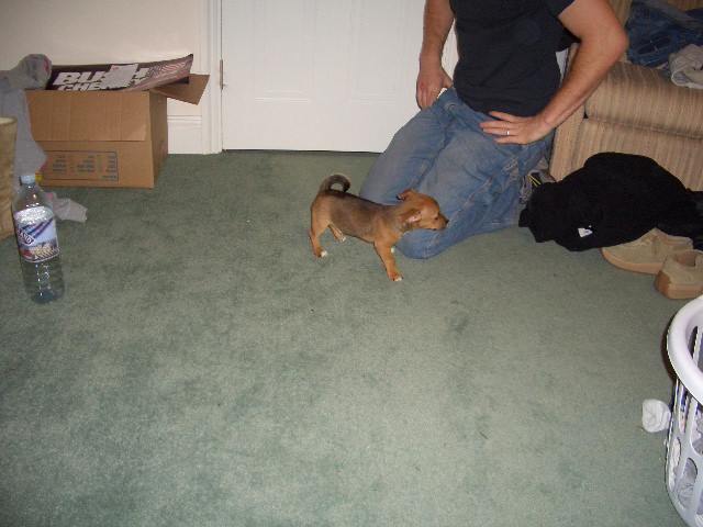 bailey again