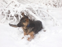 Katie at 8 months