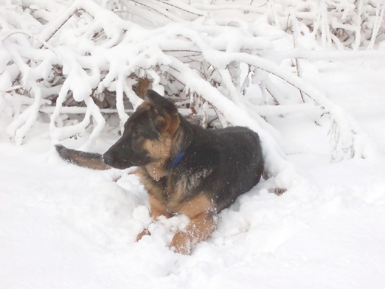 Katie at 8 months