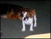 Rita 11 weeks