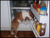 Whats for lunch