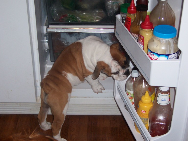 Whats for lunch
