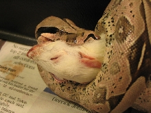 close up 2