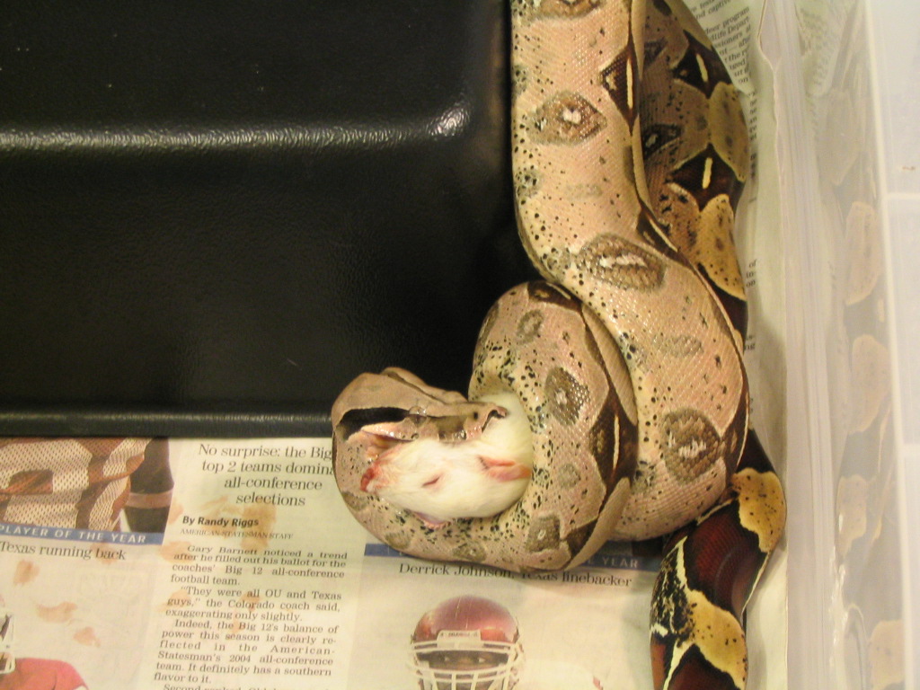 fiona eating 2