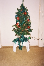 snake in the tree
