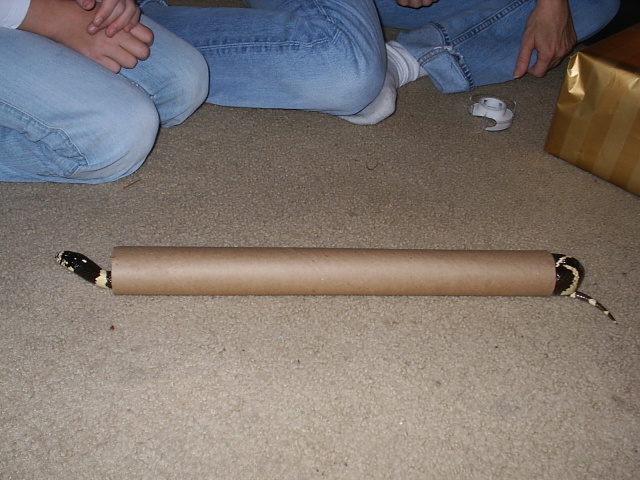 Just big enough to fit!