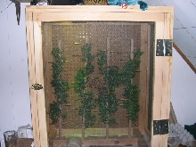 baxters cage