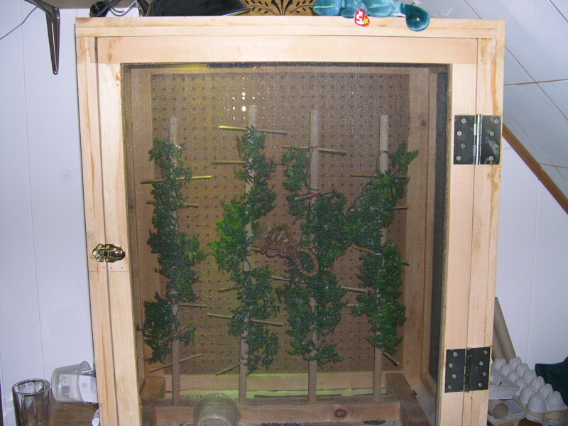 baxters cage