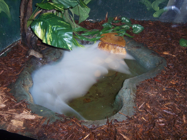 pond for GTP