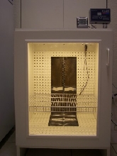 Incubator