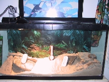 Tank
