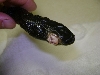 rat or racer