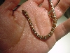 NC snake 2
