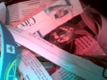 junior in newspaper