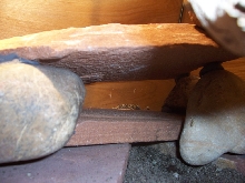 Basking side