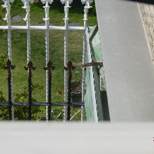 Is this a rat snake?