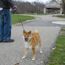 Park is fun