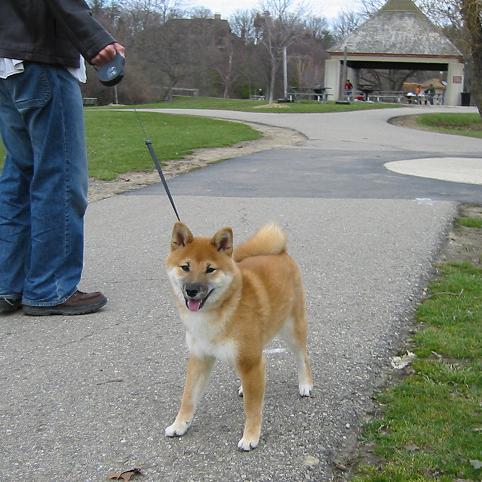 Park is fun