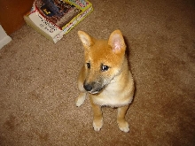 Who's the cutie