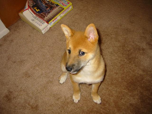 Who's the cutie