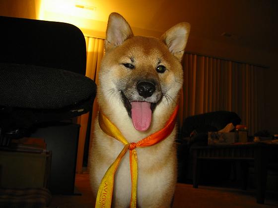 Wink wink