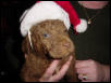 Santa Monty