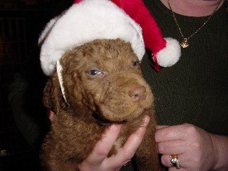 Santa Monty