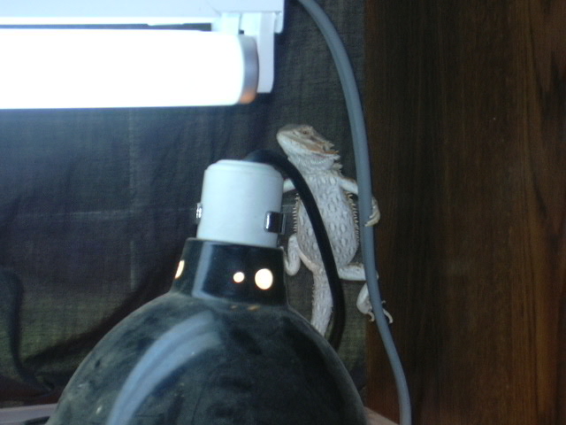 just chillin'