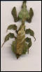 green phyllocrania paradoxa