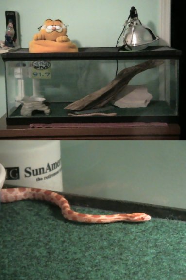 Tank and Closeup