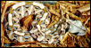 Gaboon Viper